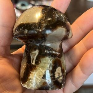 Septarian Mushroom